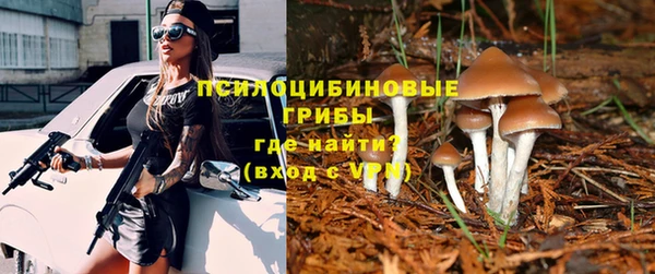 прущий лед Михайлов