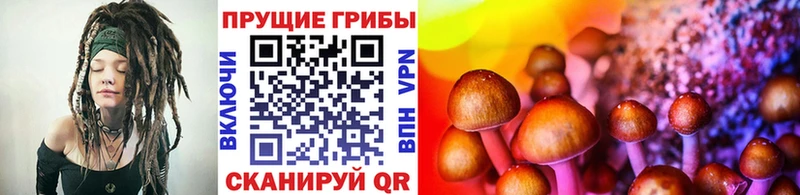 Псилоцибиновые грибы Magic Shrooms  Южноуральск 